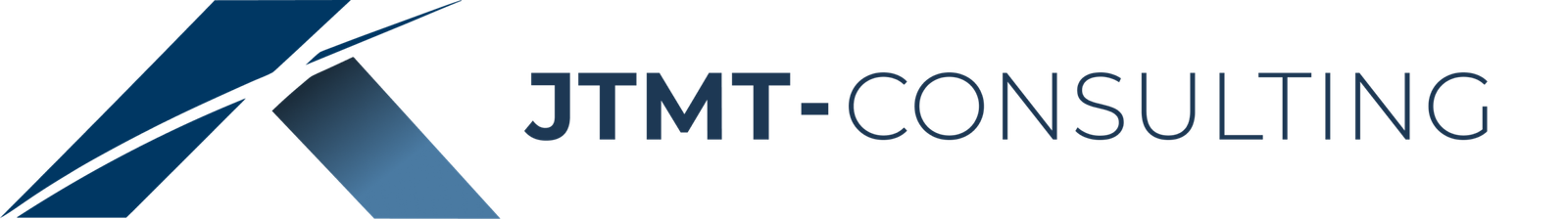 JTMT Consulting